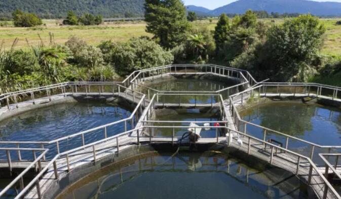 水產(chǎn)養(yǎng)殖抓住兩個關(guān)鍵詞，尾水處理和漁業(yè)凈水都不是問題03