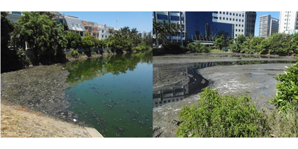 項目回顧：被央視點名的“臭水溝” 鴨尾溪如今怎么樣了