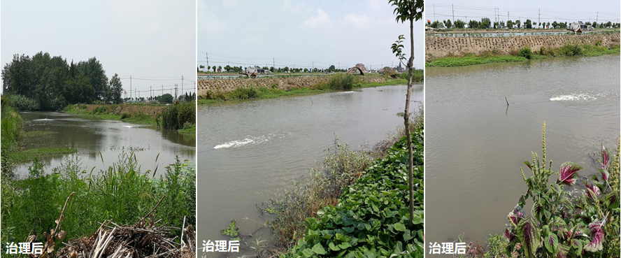 【養(yǎng)殖廢水案例】龍虬鎮(zhèn)羅氏沼蝦尾水處理