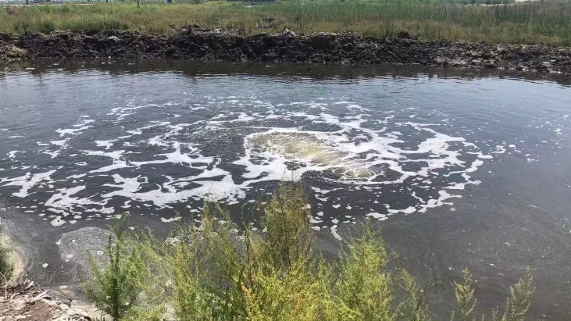 【養(yǎng)殖廢水案例】天津濱海新區(qū)楊家泊鎮(zhèn)付莊排干養(yǎng)殖廢水處理示范工程