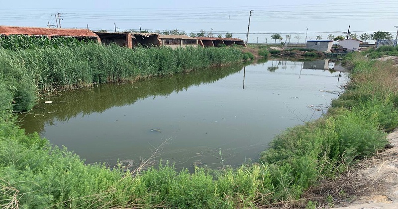 養(yǎng)殖廢水001