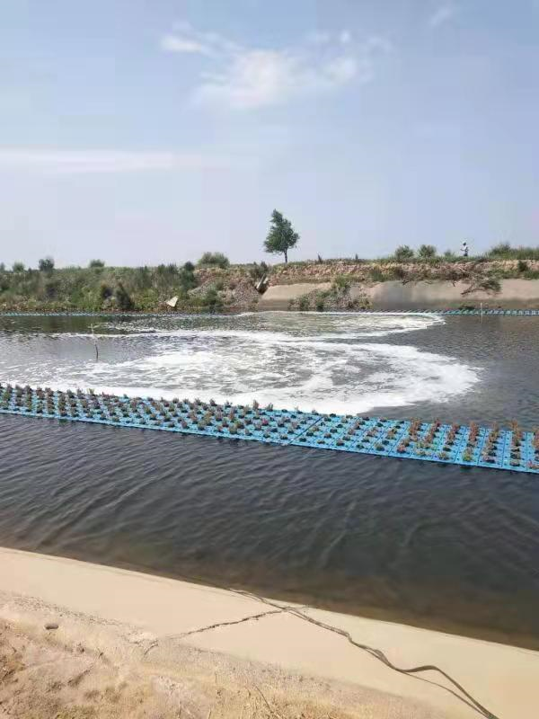 養(yǎng)殖廢水4