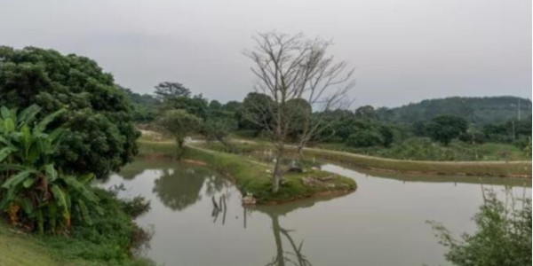 浙江省農(nóng)業(yè)農(nóng)村污染治理攻堅戰(zhàn)行動方案(2022—2025年)