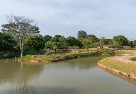 養(yǎng)殖場(chǎng)廢水怎樣治理才能達(dá)標(biāo)？01