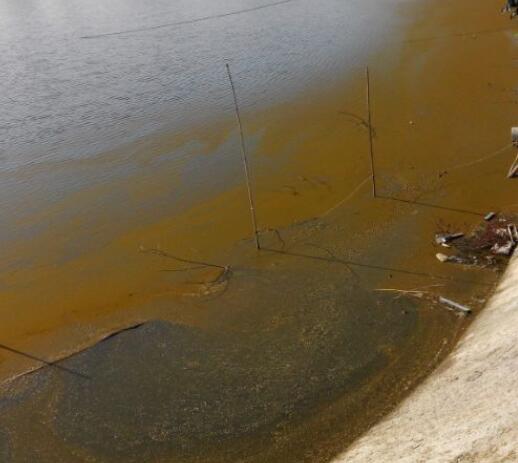 池塘水處理方案如何選才能養(yǎng)好魚蝦？08