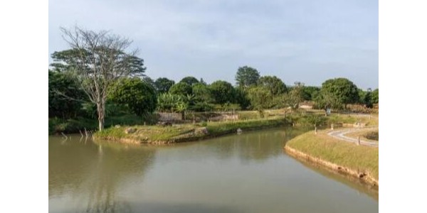 養(yǎng)殖場(chǎng)廢水怎樣治理才能達(dá)標(biāo)？