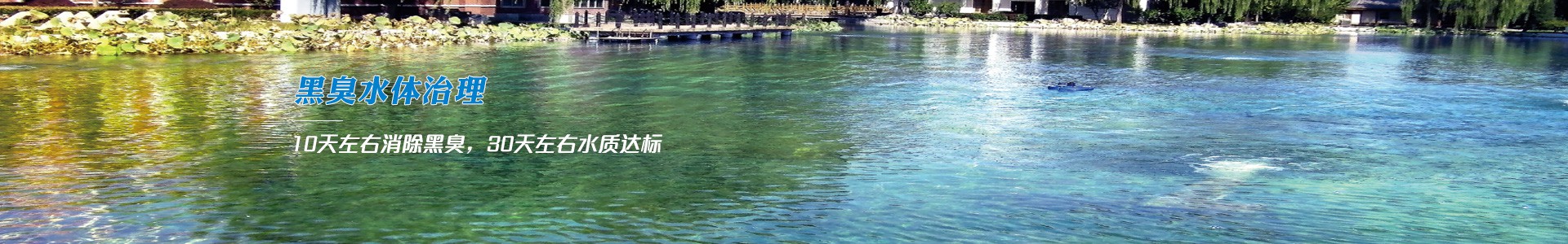 黑臭水體治理