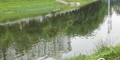 佳業(yè)佳境-氧化還原電位如何影響微生物？