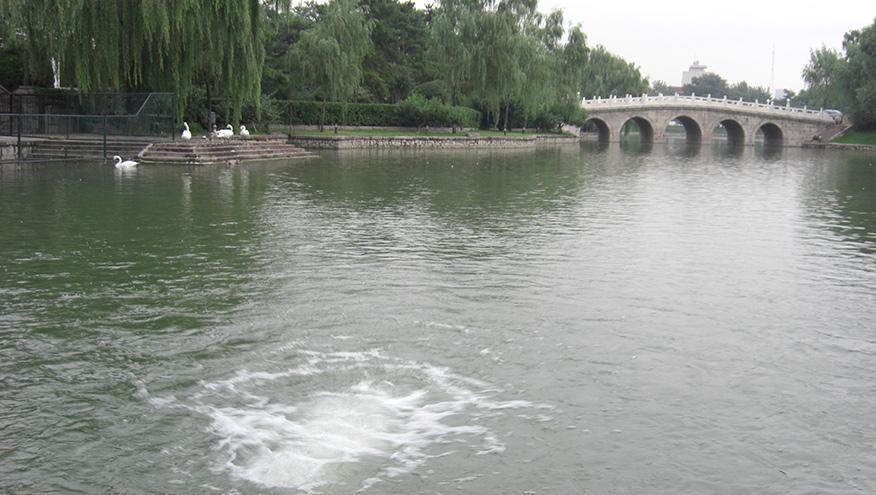 釣魚(yú)臺(tái)國(guó)賓館人工湖污水治理-佳業(yè)佳境工程案例