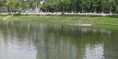 佳業(yè)佳境淺析：確?！伴L制久清” 至2020年江西將整治7個黑臭水體治理