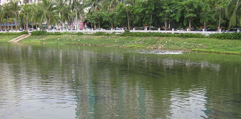 佳業(yè)佳境淺析：確?！伴L制久清” 至2020年江西將整治7個黑臭水體治理