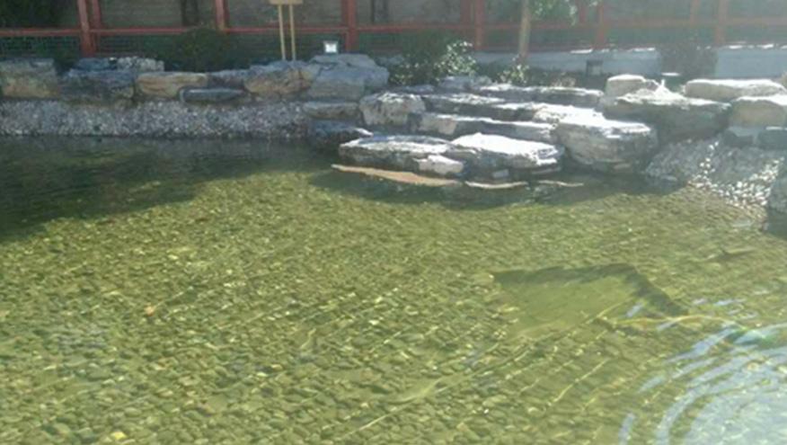 八一學校人工湖水處理-佳業(yè)佳境工程案例