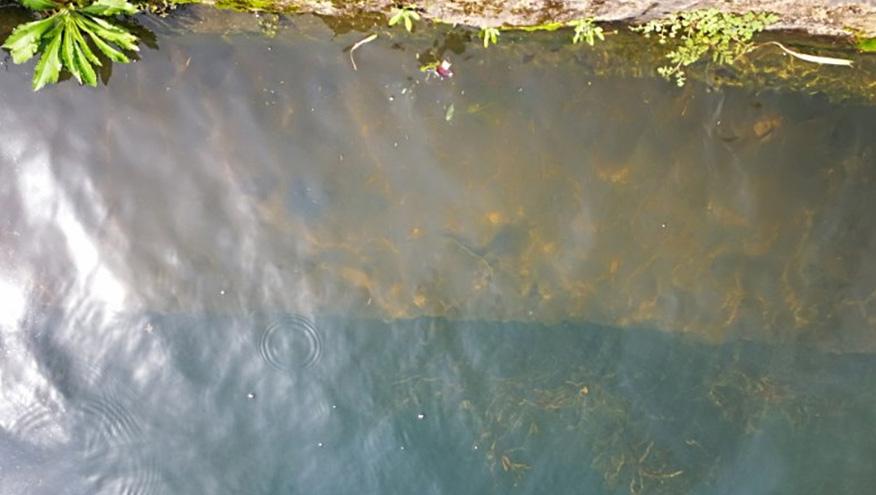 望城鎮(zhèn)三聯(lián)村曹家、毛家生活污水處理工程-佳業(yè)佳境工程案例