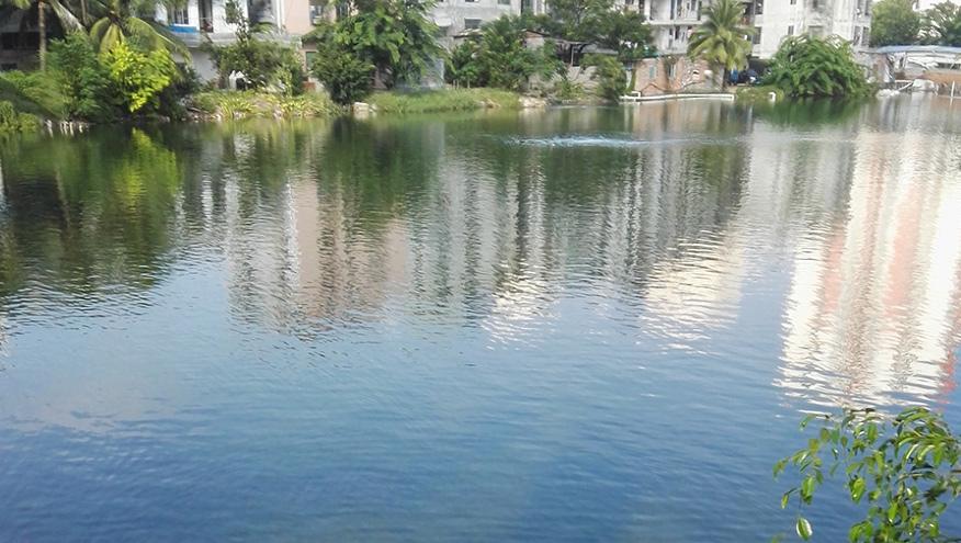 海口鴨尾溪黑臭水體生態(tài)修復(fù)工程-佳業(yè)佳境工程案例