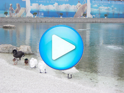 順馳領(lǐng)海人工湖6