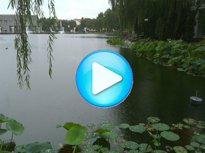 中化集團北京怡生園2