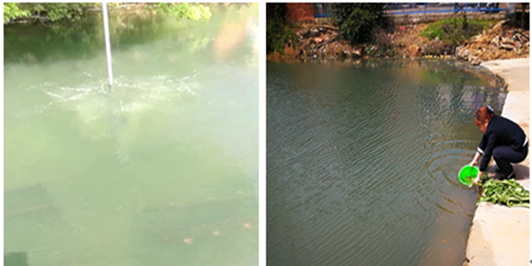 微信圖片_20180516111959