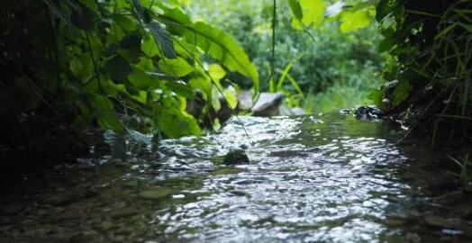 景觀水處理常見誤區(qū)有哪些