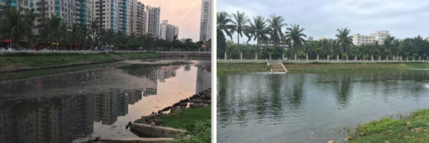 黑臭水體治理中曝氣設(shè)備效果是否都一樣呢？