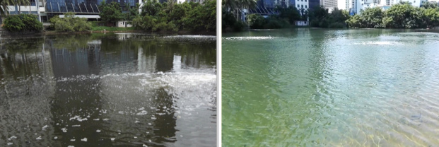 黑臭水體治理中曝氣設(shè)備效果是否都一樣呢？