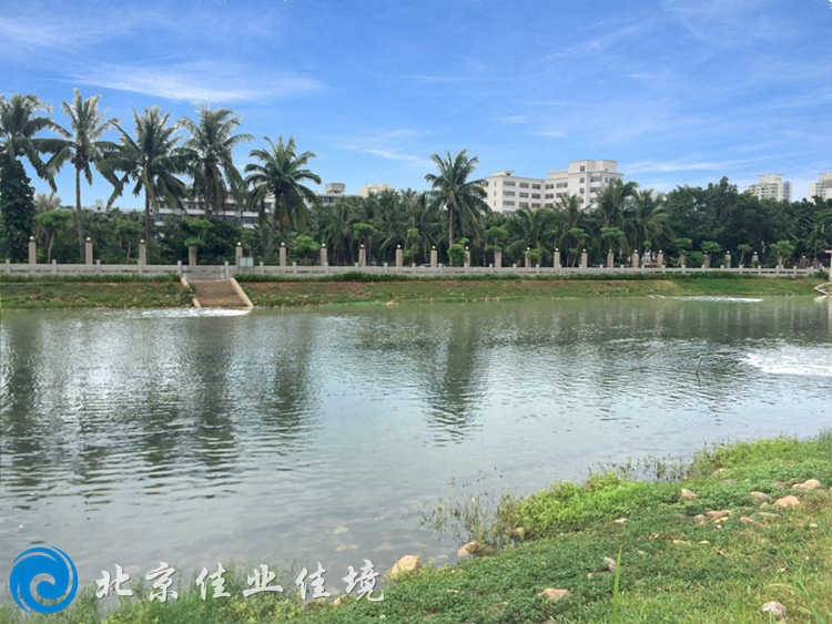 生物膜的微生物到底有哪些呢？