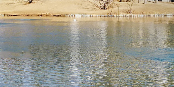 農(nóng)村灰水收集-處理-回用系統(tǒng)現(xiàn)狀及應(yīng)用建議