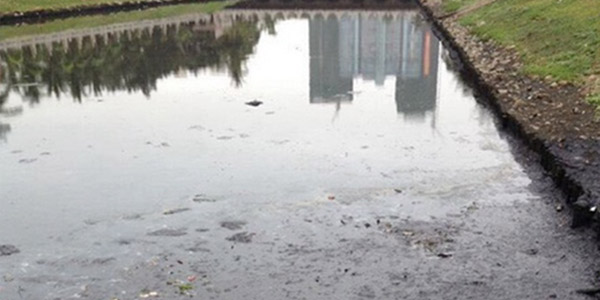 佳業(yè)佳境養(yǎng)殖廢水處理助您實(shí)現(xiàn)達(dá)標(biāo)排放