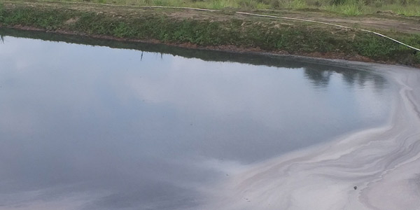 養(yǎng)殖廢水污染防治！佳業(yè)佳境養(yǎng)殖廢水處理提醒您