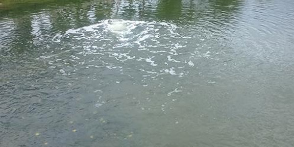 佳業(yè)佳境黑臭水體治理廠家告訴你黑臭水體是怎么來(lái)的