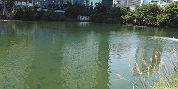 河道污染嚴(yán)重？佳業(yè)佳境黑臭河道治理效果好！