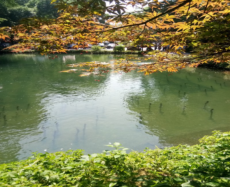 微信圖片_20171214112130