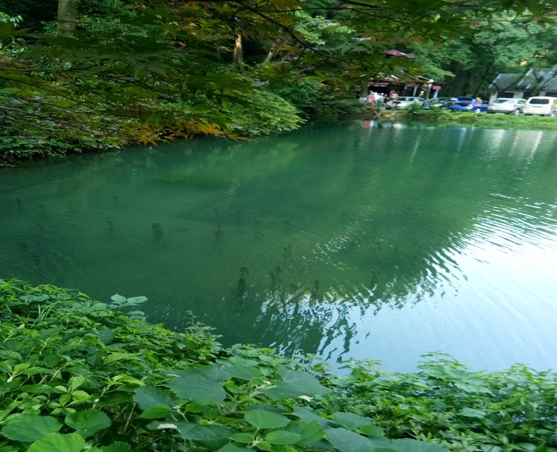 微信圖片_20171214112134