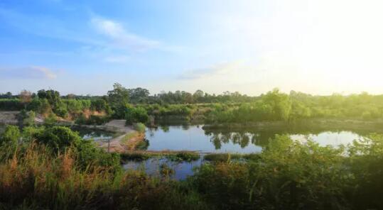 小流域黑臭水體治理技術(shù)方案02