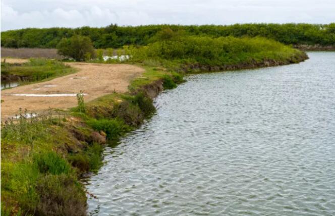 小流域黑臭水體治理技術(shù)方案03