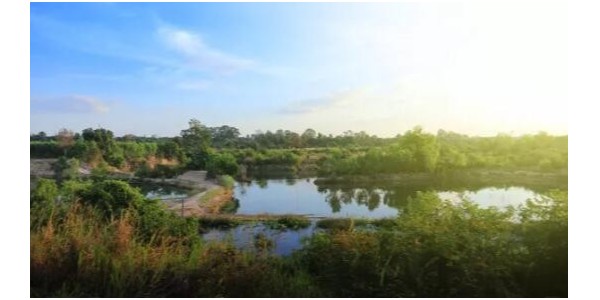 小流域黑臭水體治理技術(shù)方案