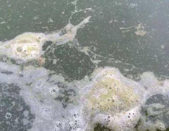 池塘水處理方案如何選才能養(yǎng)好魚蝦？07