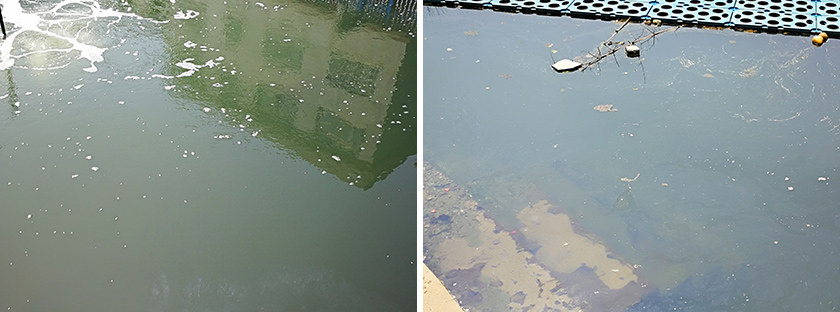 望城鎮(zhèn)三聯(lián)村曹家、毛家生活污水處理工程-佳業(yè)佳境工程案例