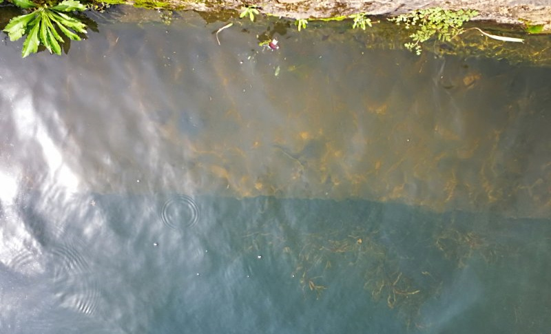 望城鎮(zhèn)三聯(lián)村曹家、毛家生活污水處理工程-佳業(yè)佳境工程案例