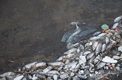 佳業(yè)佳境教你如何應(yīng)對(duì)池塘水處理渾濁問(wèn)題4