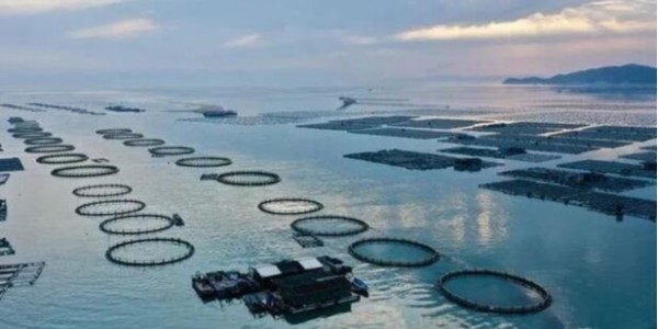 佳業(yè)佳境養(yǎng)殖廢水處理:關(guān)于黑褐色養(yǎng)殖廢水如何處理