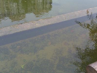 生態(tài)控藻素