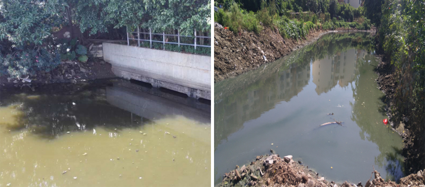 ?？邙單蚕诔羲w生態(tài)修復工程-佳業(yè)佳境工程案例