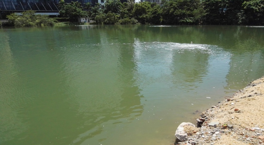 ?？邙單蚕诔羲w生態(tài)修復工程-佳業(yè)佳境工程案例