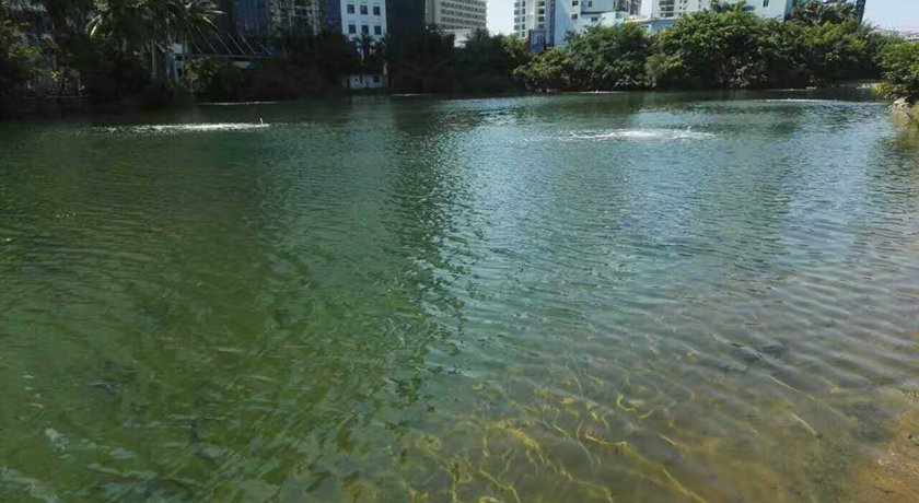 ?？邙單蚕诔羲w生態(tài)修復工程-佳業(yè)佳境工程案例