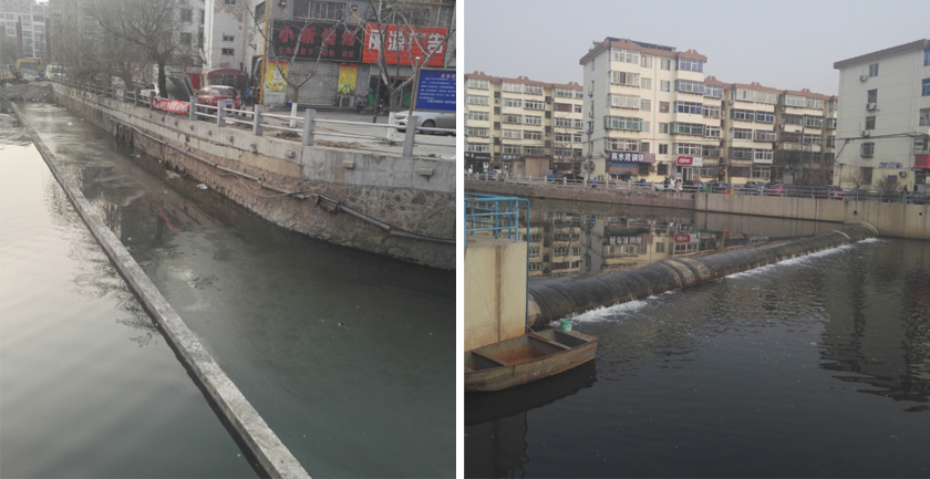 秦皇島大馬坊河原位生態(tài)修復(fù)工程-佳業(yè)佳境工程案例