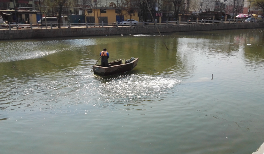 秦皇島大馬坊河原位生態(tài)修復(fù)工程-佳業(yè)佳境工程案例