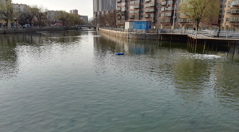 秦皇島大馬坊河原位生態(tài)修復(fù)工程-佳業(yè)佳境工程案例