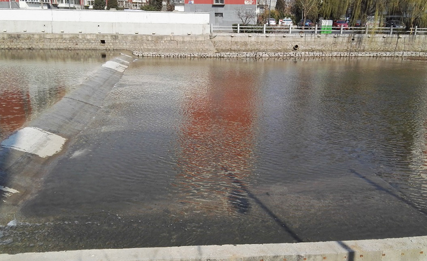 秦皇島大馬坊河原位生態(tài)修復(fù)工程-佳業(yè)佳境工程案例