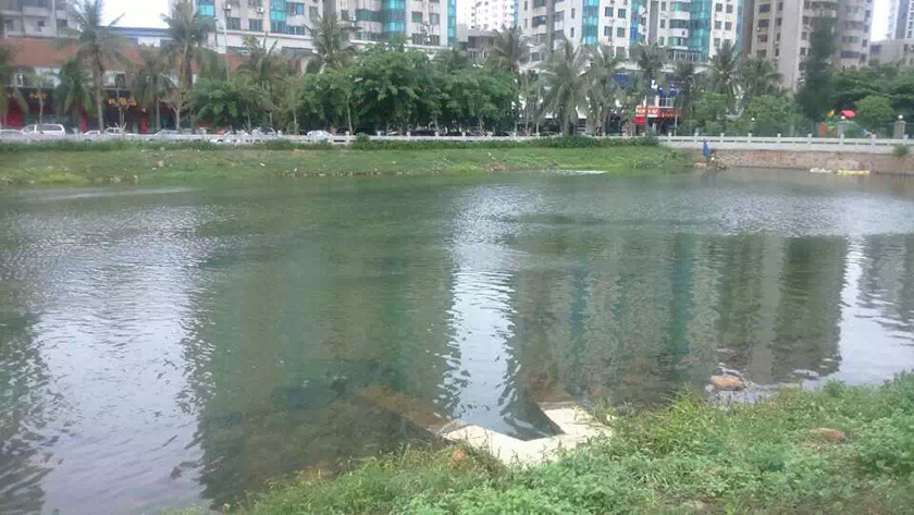 ?？诤诔羲w中試治理大比武-佳業(yè)佳境工程案例