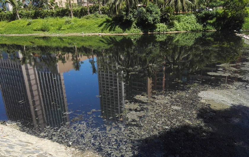 ?？诤诔羲w中試治理大比武-佳業(yè)佳境工程案例